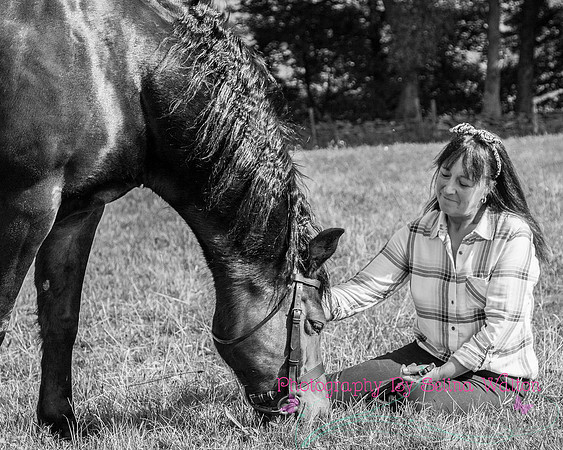 Horse Photography Clitheroe Lancashire