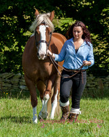 Horse Photography Clitheroe Lancashire