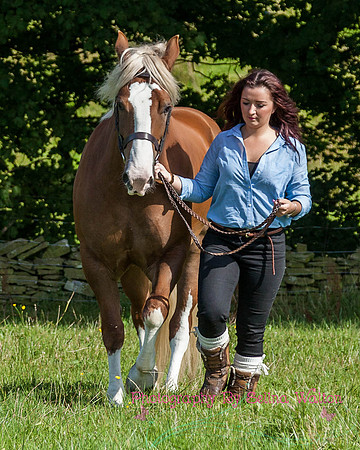 Horse Photography Clitheroe Lancashire