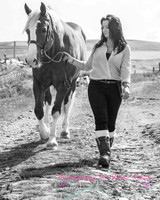 Horse Photography Clitheroe Lancashire