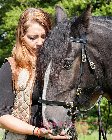 Horse Photography Clitheroe Lancashire