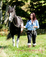 Horse Photography Clitheroe Lancashire