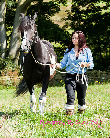 Horse Photography Clitheroe Lancashire
