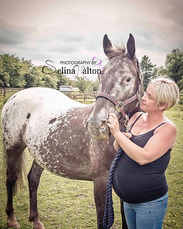Equine Photography Clitheroe Lancashire