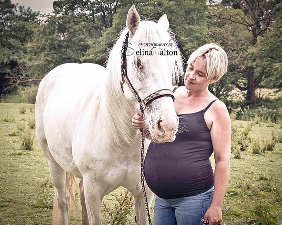 Equine Photography Lancashire