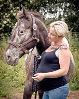 Horse Photography Clitheroe Lancashire